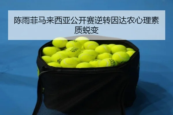 chen-yu-fei-ma-lai-xi-ya-gong-kai-sai-ni-zhuan-yin-da-nong-xin-li-su-zhi-tui-bian-3-186.jpg