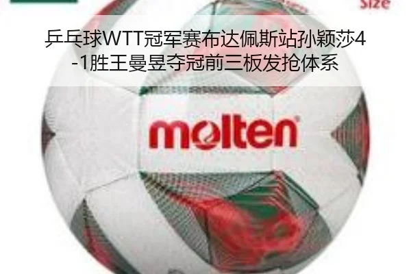 ping-pang-qiu-guan-jun-sai-bu-da-pei-si-zhan-sun-ying-sha-sheng-wang-man-yu-duo-guan-qian-san-ban-fa-qiang-ti-xi-3-301.jpg