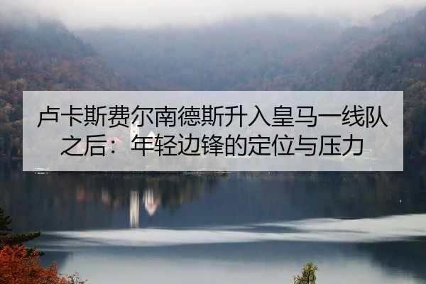 卢卡斯费尔南德斯升入皇马一线队之后：年轻边锋的定位与压力